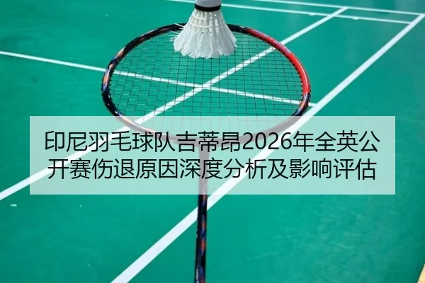 yin-ni-yu-mao-qiu-dui-ji-di-ang-nian-quan-ying-gong-kai-sai-shang-tui-yuan-yin-shen-du-fen-xi-ji-ying-xiang-ping-gu-2-755.jpg
