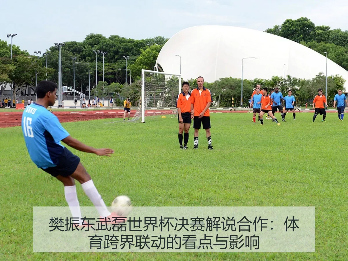 樊振东武磊世界杯决赛解说合作：体育跨界联动的看点与影响